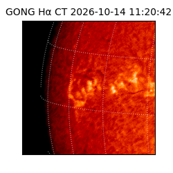 gong - 2026-10-14T11:20:42
