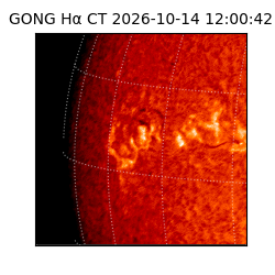 gong - 2026-10-14T12:00:42