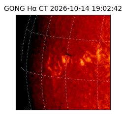 gong - 2026-10-14T19:02:42