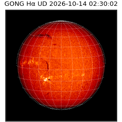 gong - 2026-10-14T02:30:02