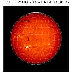 gong - 2026-10-14T03:00:02