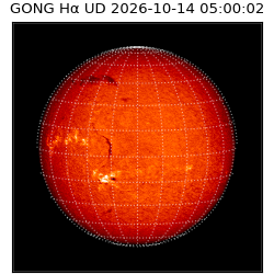 gong - 2026-10-14T05:00:02