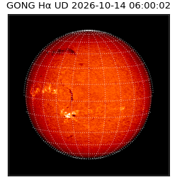 gong - 2026-10-14T06:00:02