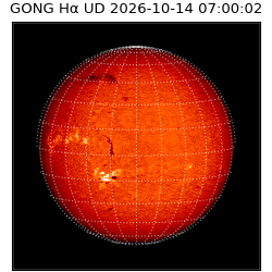 gong - 2026-10-14T07:00:02