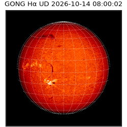 gong - 2026-10-14T08:00:02