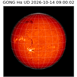 gong - 2026-10-14T09:00:02