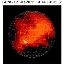 gong - 2026-10-14T10:16:02