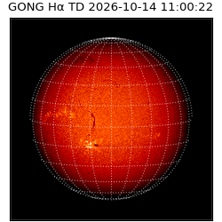 gong - 2026-10-14T11:00:22