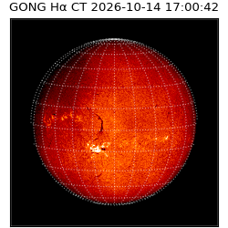 gong - 2026-10-14T17:00:42