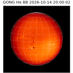 gong - 2026-10-14T20:00:02
