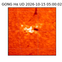 gong - 2026-10-15T05:00:02