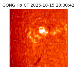 gong - 2026-10-15T20:00:42