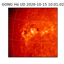 gong - 2026-10-15T10:01:02