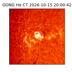 gong - 2026-10-15T20:00:42