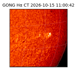 gong - 2026-10-15T11:00:42