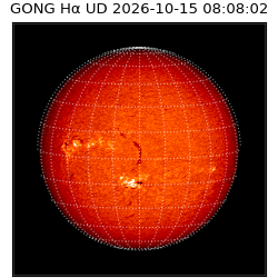 gong - 2026-10-15T08:08:02