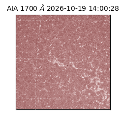 saia - 2026-10-19T14:00:28.716000