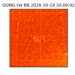 gong - 2026-10-19T20:00:02