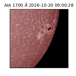 saia - 2026-10-20T09:00:28.735000