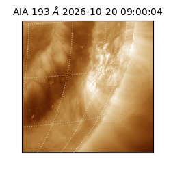 saia - 2026-10-20T09:00:04.842000