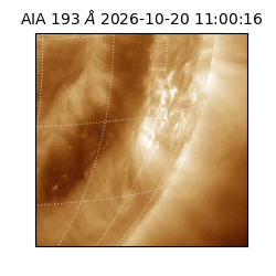 saia - 2026-10-20T11:00:16.842000