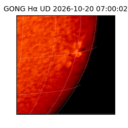gong - 2026-10-20T07:00:02