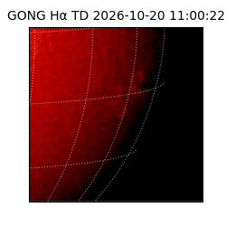 gong - 2026-10-20T11:00:22