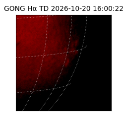 gong - 2026-10-20T16:00:22