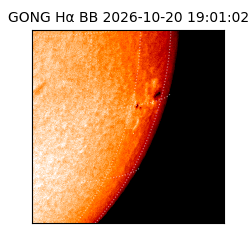 gong - 2026-10-20T19:01:02