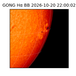 gong - 2026-10-20T22:00:02