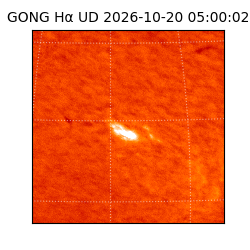 gong - 2026-10-20T05:00:02