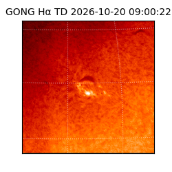 gong - 2026-10-20T09:00:22