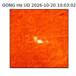 gong - 2026-10-20T10:03:02