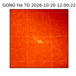 gong - 2026-10-20T12:00:22