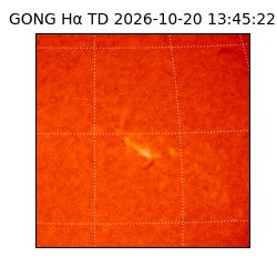 gong - 2026-10-20T13:45:22