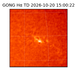 gong - 2026-10-20T15:00:22