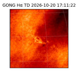 gong - 2026-10-20T17:11:22