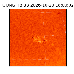 gong - 2026-10-20T18:00:02