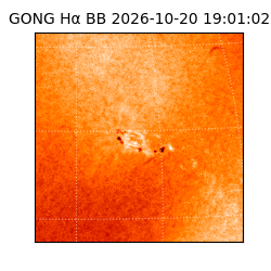 gong - 2026-10-20T19:01:02