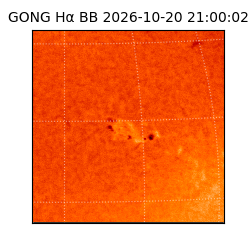 gong - 2026-10-20T21:00:02