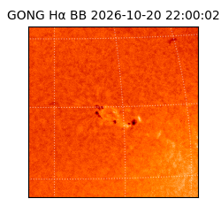 gong - 2026-10-20T22:00:02