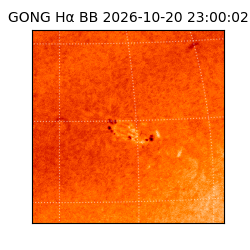 gong - 2026-10-20T23:00:02
