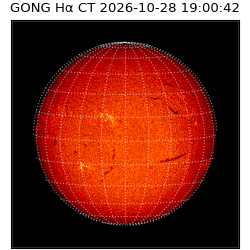 gong - 2026-10-28T19:00:42