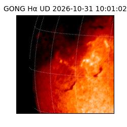 gong - 2026-10-31T10:01:02
