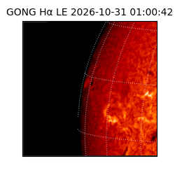 gong - 2026-10-31T01:00:42