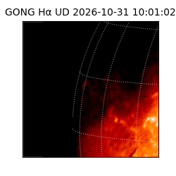 gong - 2026-10-31T10:01:02