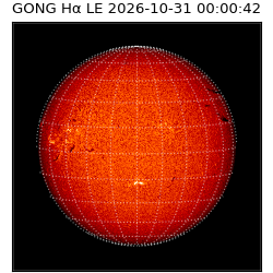 gong - 2026-10-31T00:00:42